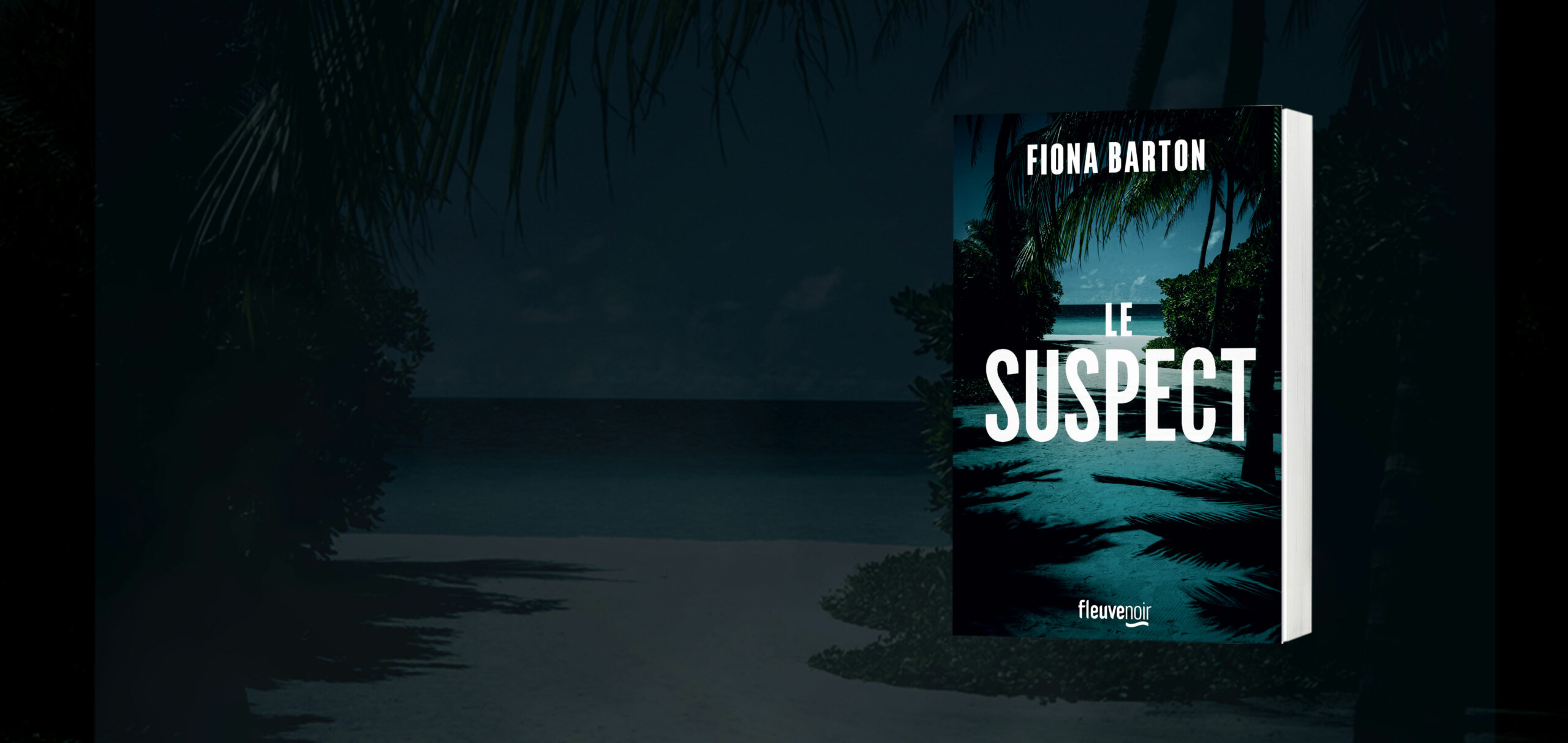 Fleuve éditions : Le Suspect de Fiona Barton