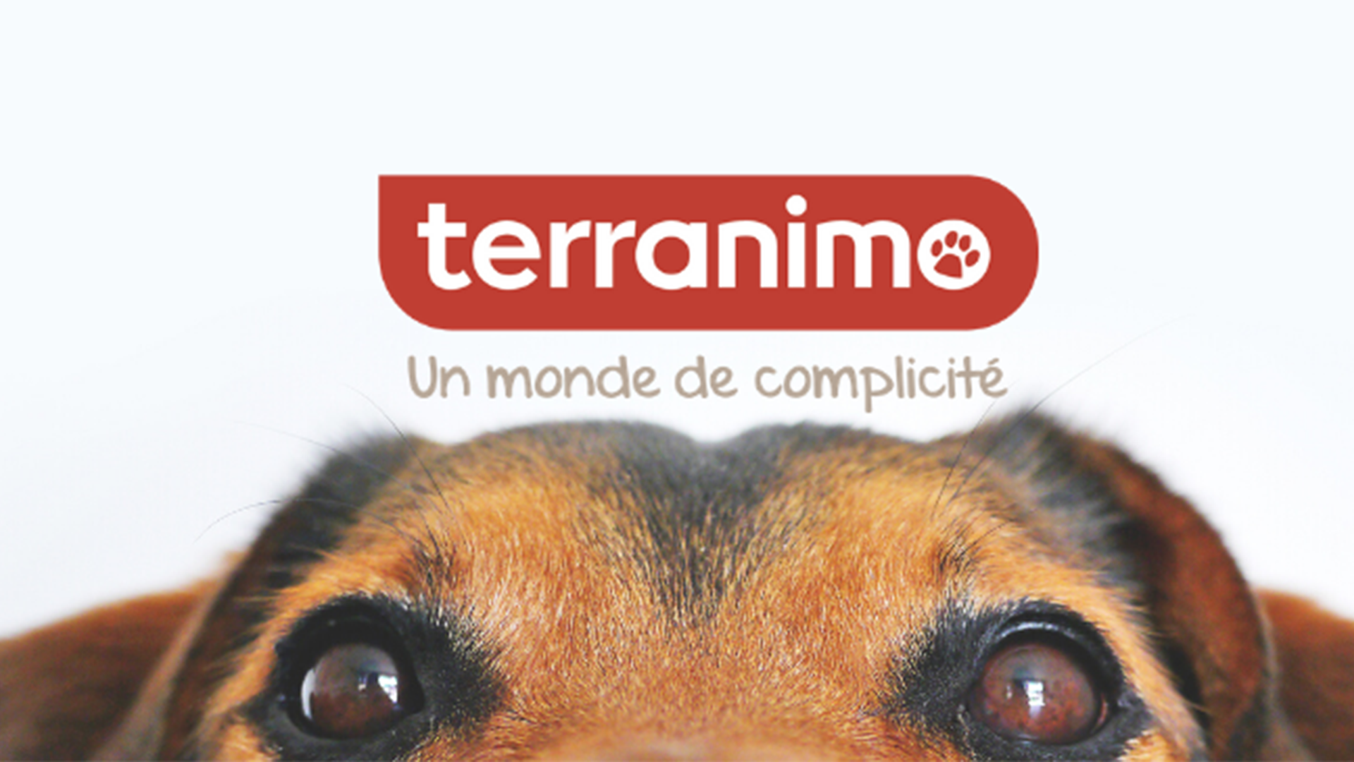 Terranimo